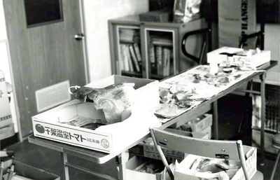 和久平遺跡から見つかった土器など。私も発掘調査に立ち会い、専門家の調査方法を間近で学んだ