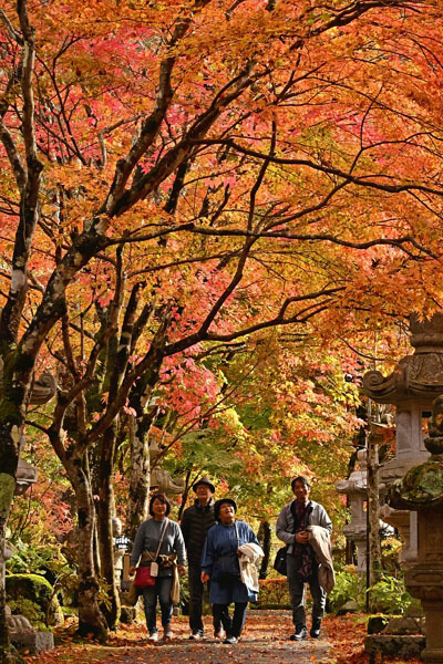 参道を鮮やかなモミジなどで彩る紅葉が参拝者を楽しませている＝１０日午後、棚倉町・山本不動尊